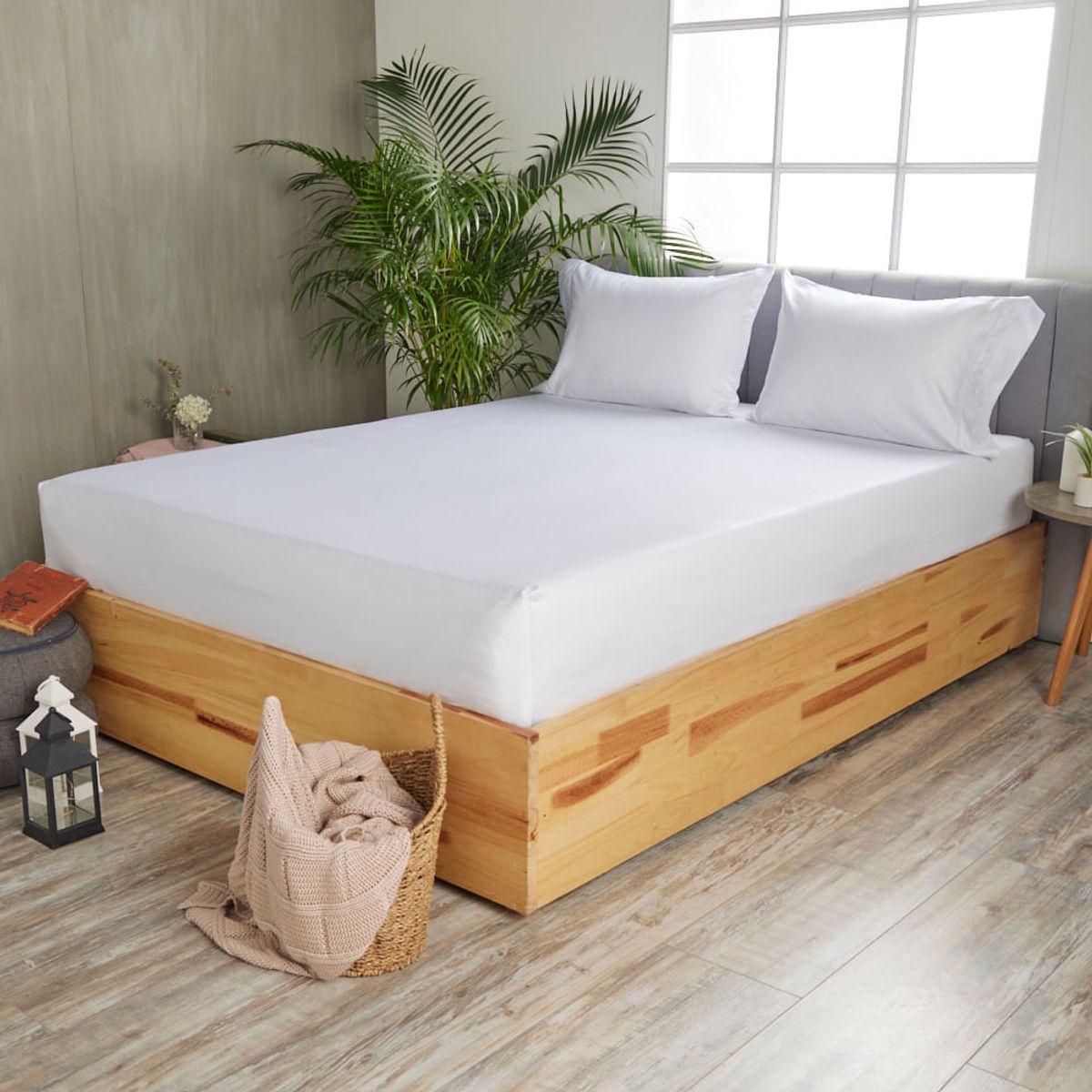 DISTRIHOGAR - Set Sábana Ajustable Más Fundas 400 Hilos Algodón King