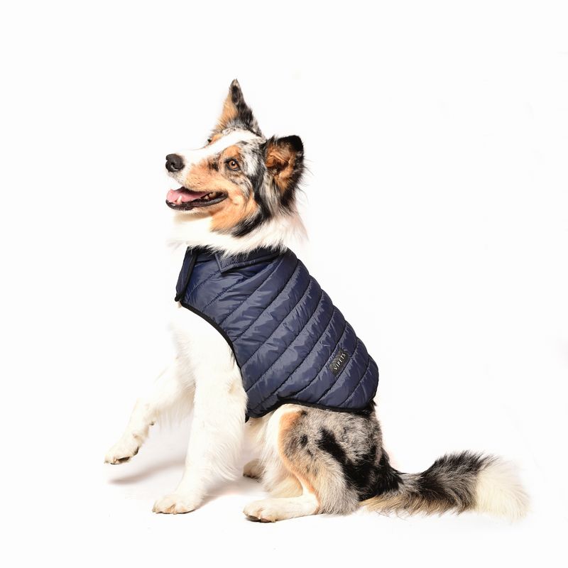 VIPETS - Chaleco para Perro y Gato XXL Rojo