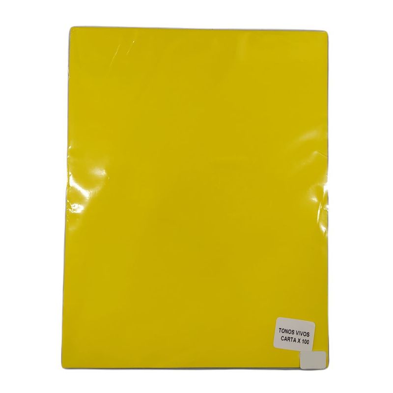 GARABATOS - Papel Tonos Carta 75 Gr X 100h Colores Vivos