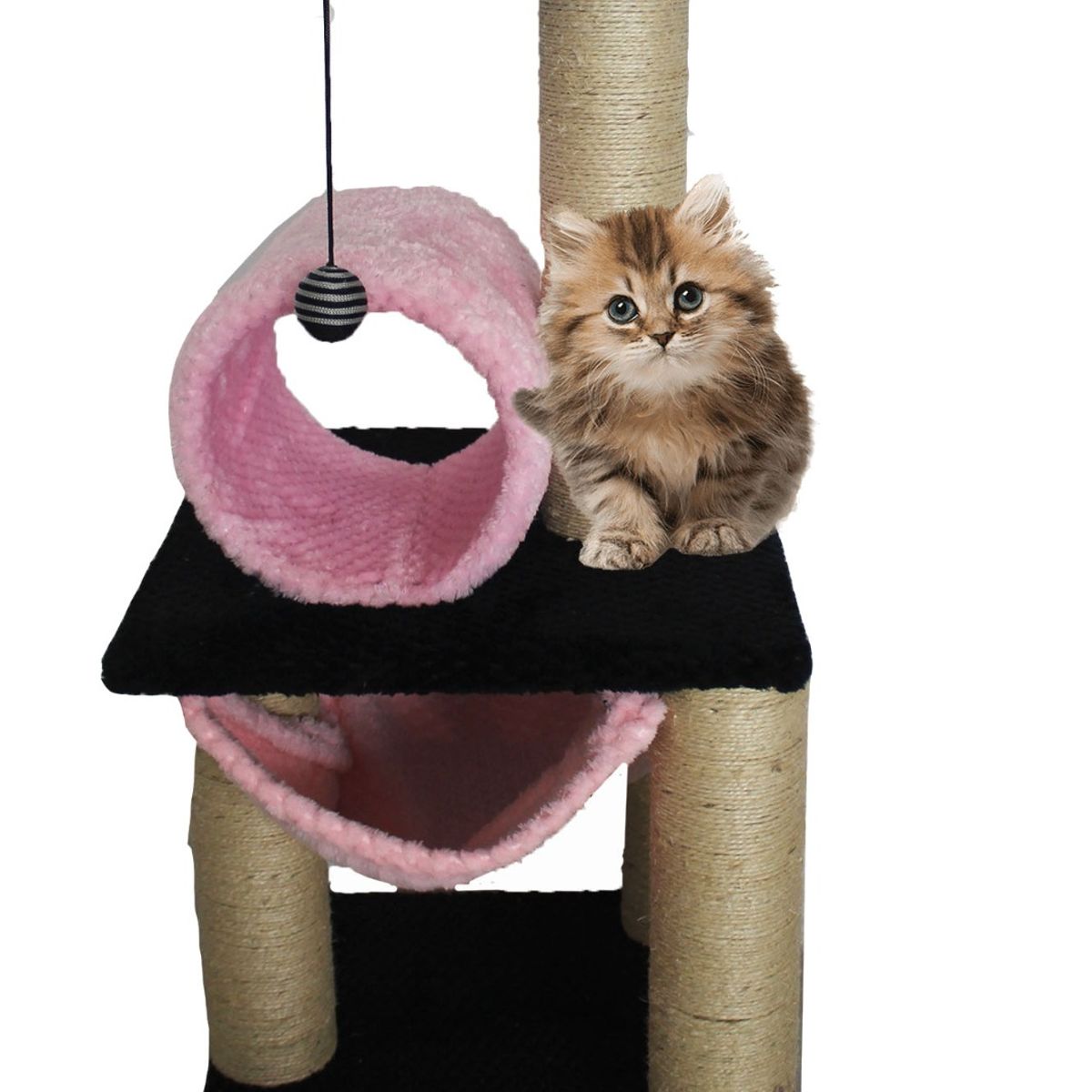 WOOD PETS - GIMNASIO ARBOL RASCADOR PARA GATO