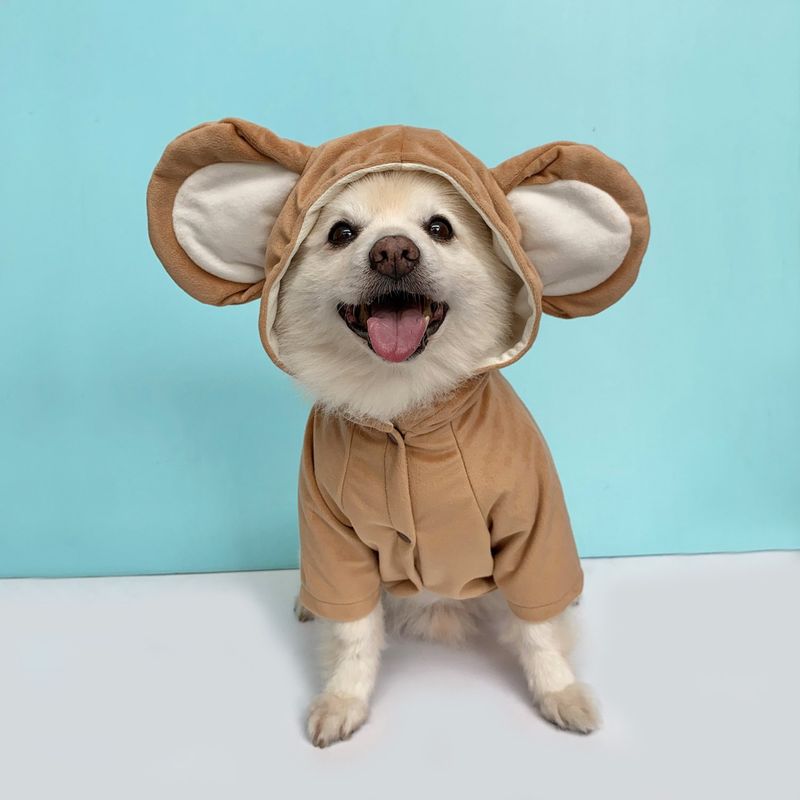 WAWAW - Disfraz para perro  talla 3XL mico halloween Wawaw