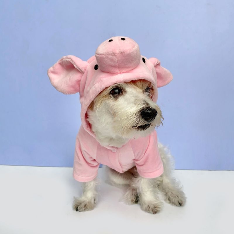 WAWAW - Disfraz para perro  talla M cerdito halloween Wawaw