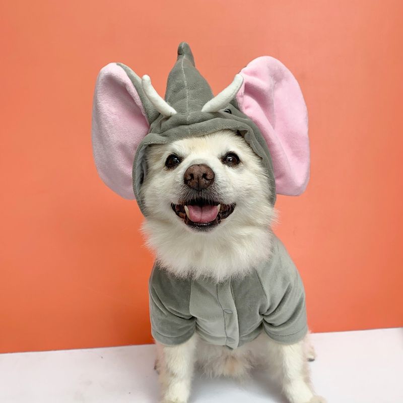 WAWAW - Disfraz para perro  talla M elefante Halloween Wawaw
