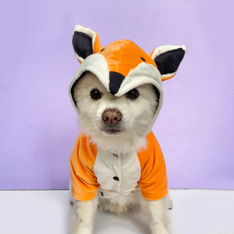 WAWAW - Disfraz para perro  talla M zorro Wawaw