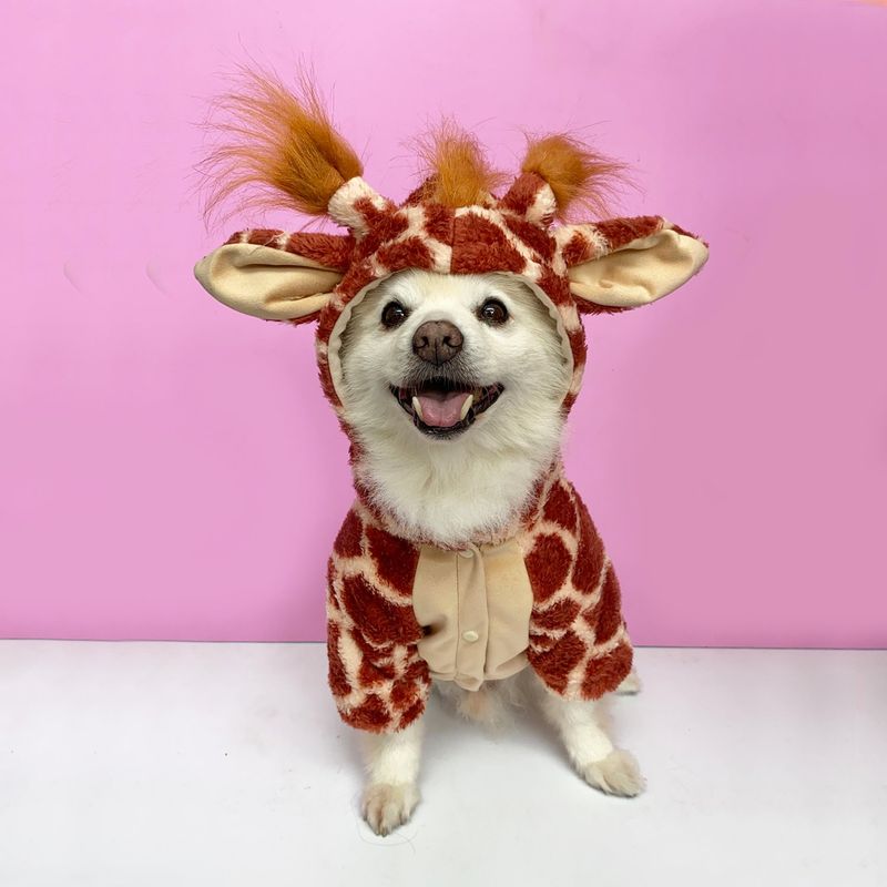 WAWAW - Disfraz para perro  talla L jirafa Halloween Wawaw