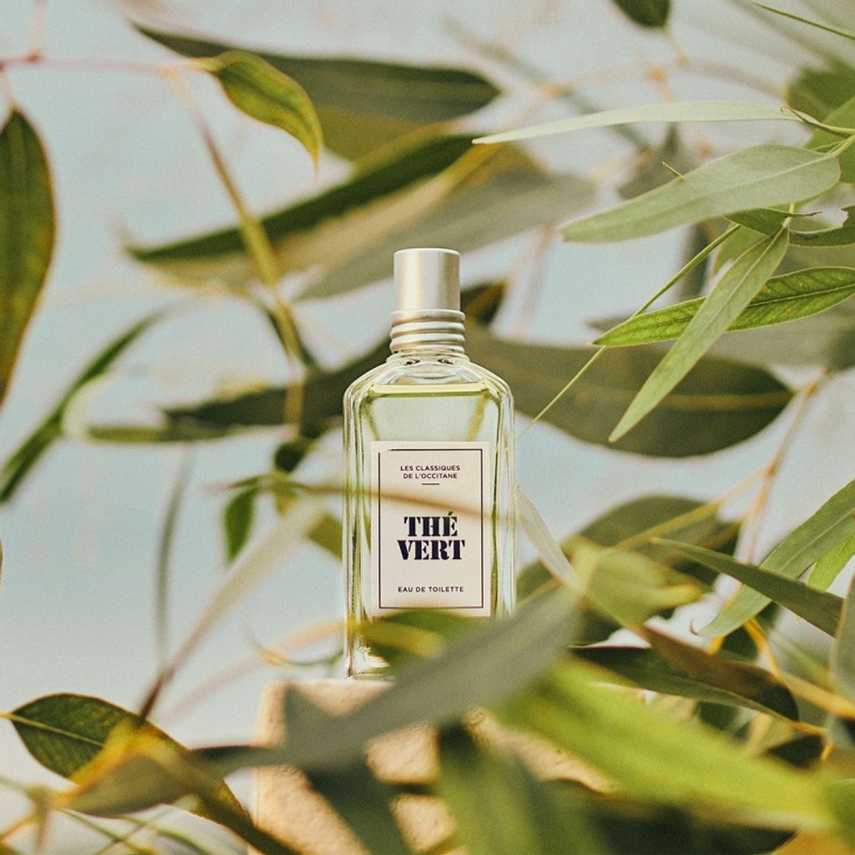 LOCCITANE - Perfume Té Verde Eau de Toilette 50ml