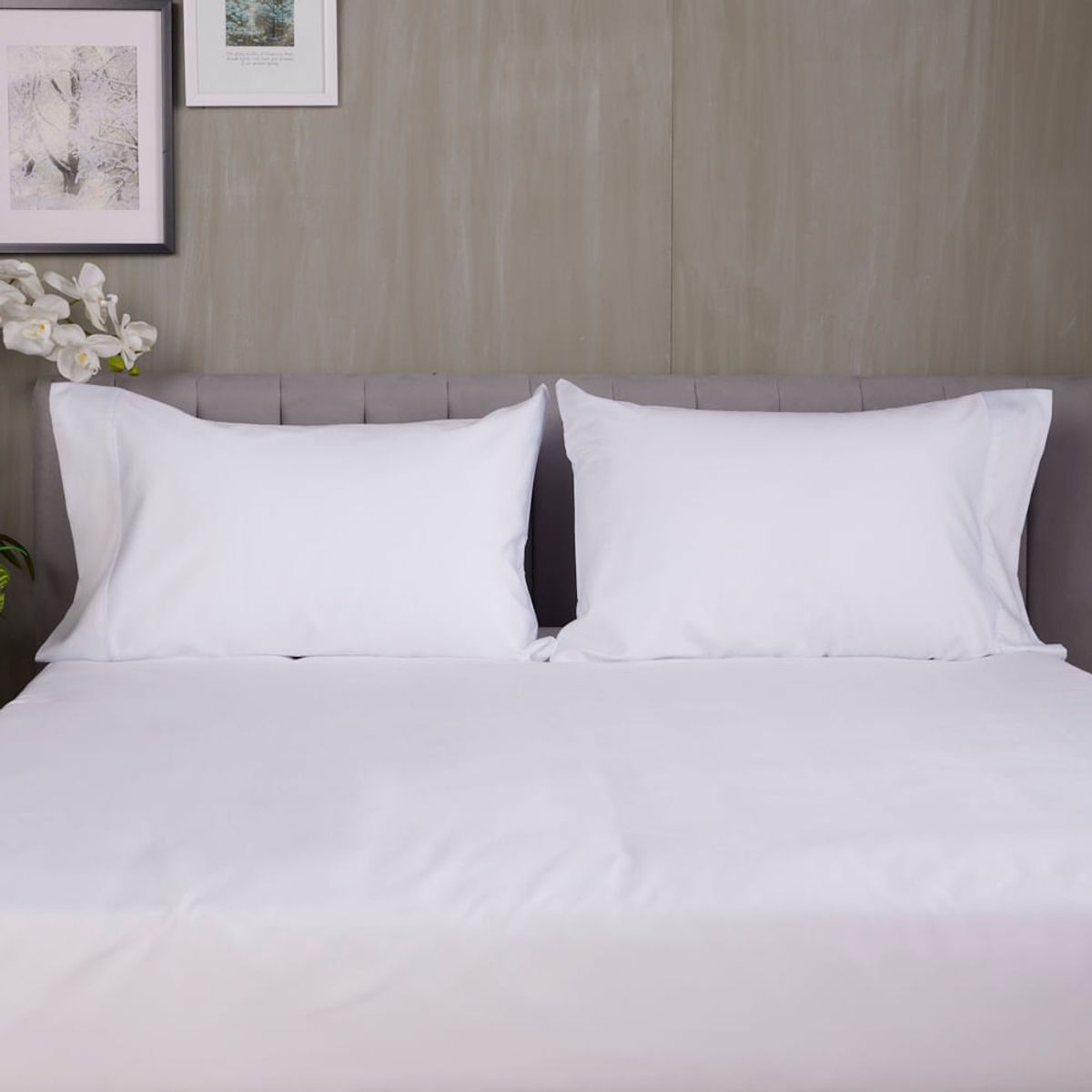 DISTRIHOGAR - Set X 2 Fundas Menfis 400 Hilos Blanco Marfil 48 X 75 Cm