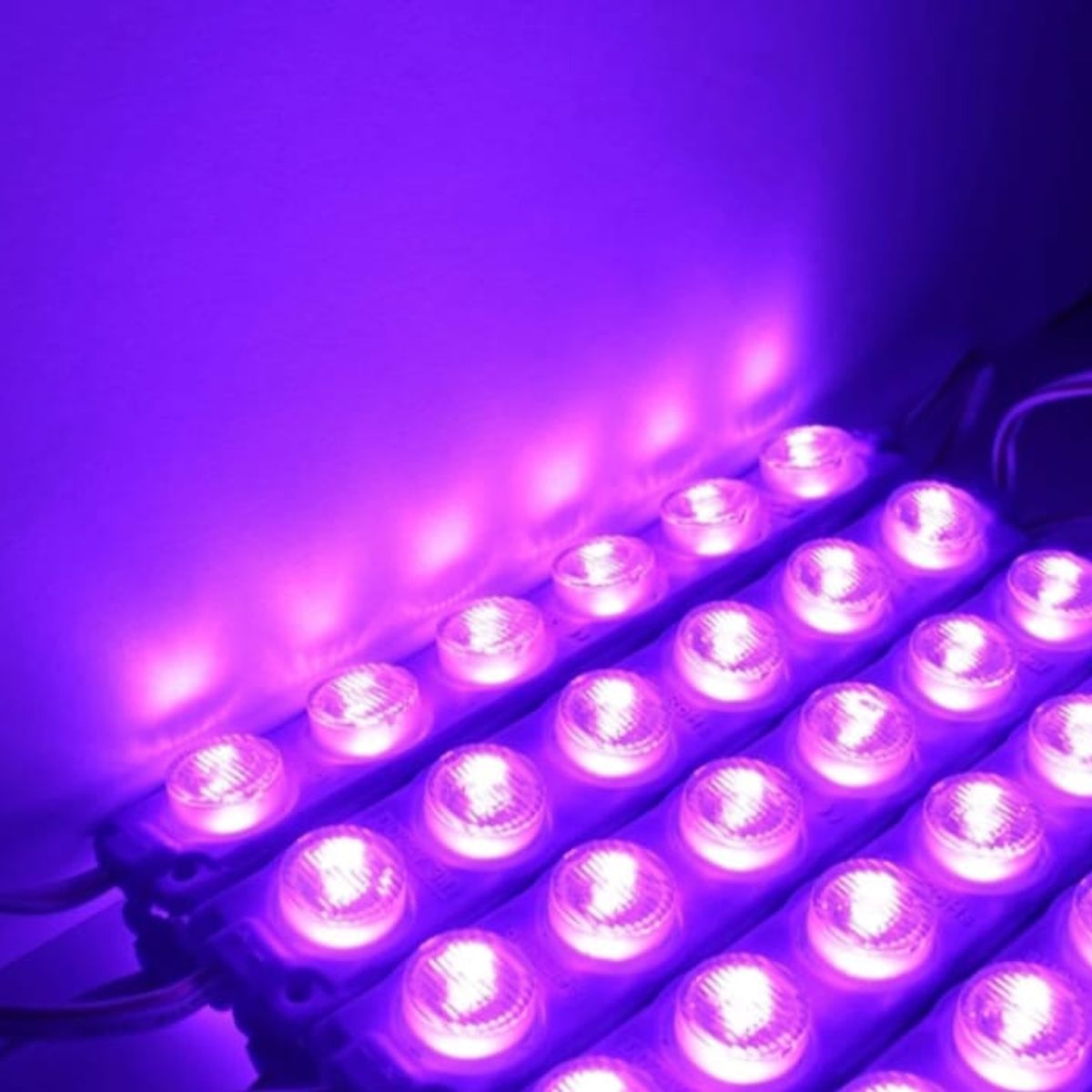 LEDMAX - MODULO LED 6 PEPAS MORADO X 10 UNIDADES VEHICULOS Y HOGAR