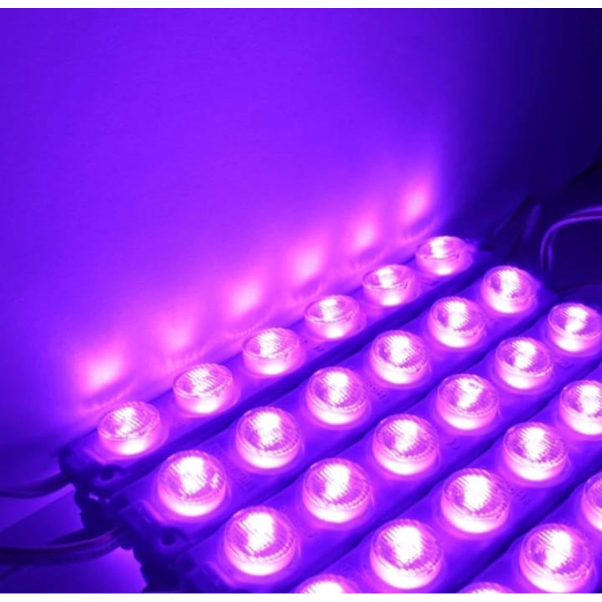 LEDMAX - MODULO LED 6 PEPAS MORADO X 10 UNIDADES VEHICULOS Y HOGAR