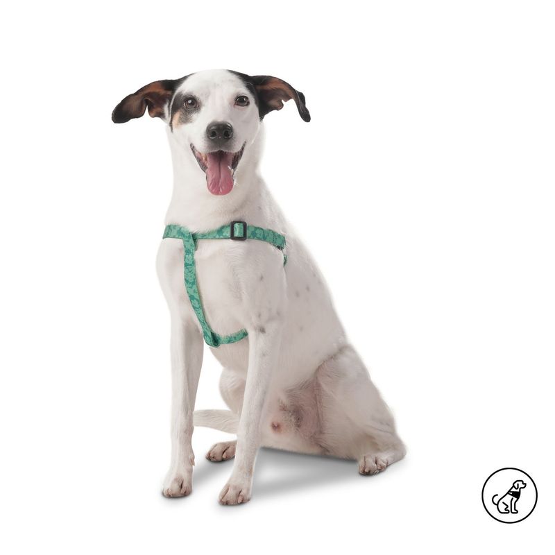 TOTTO - Arnés Para Mascota Totto Brunno Verde M