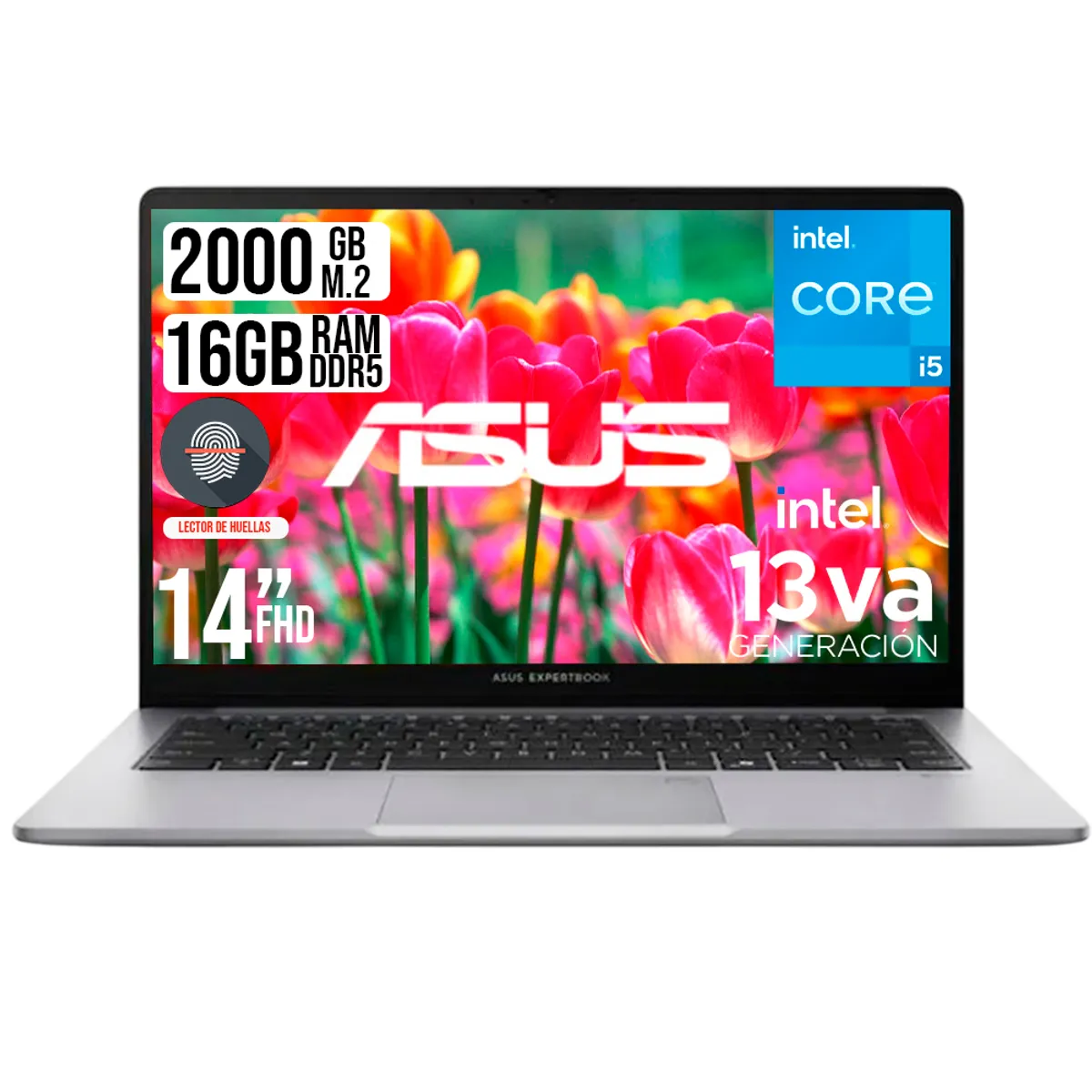 ASUS - ASUS EXPERTBOOK INTEL CORE I5-13420H SSD 2TB RAM 16GB LED 14 FULL HD