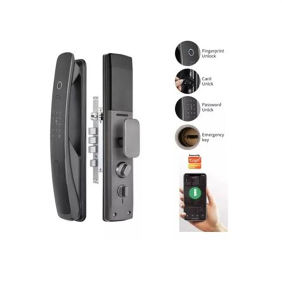 GENERICO - Chapa Inteligente Electrónica Wifi Domotica Alexa Assistant