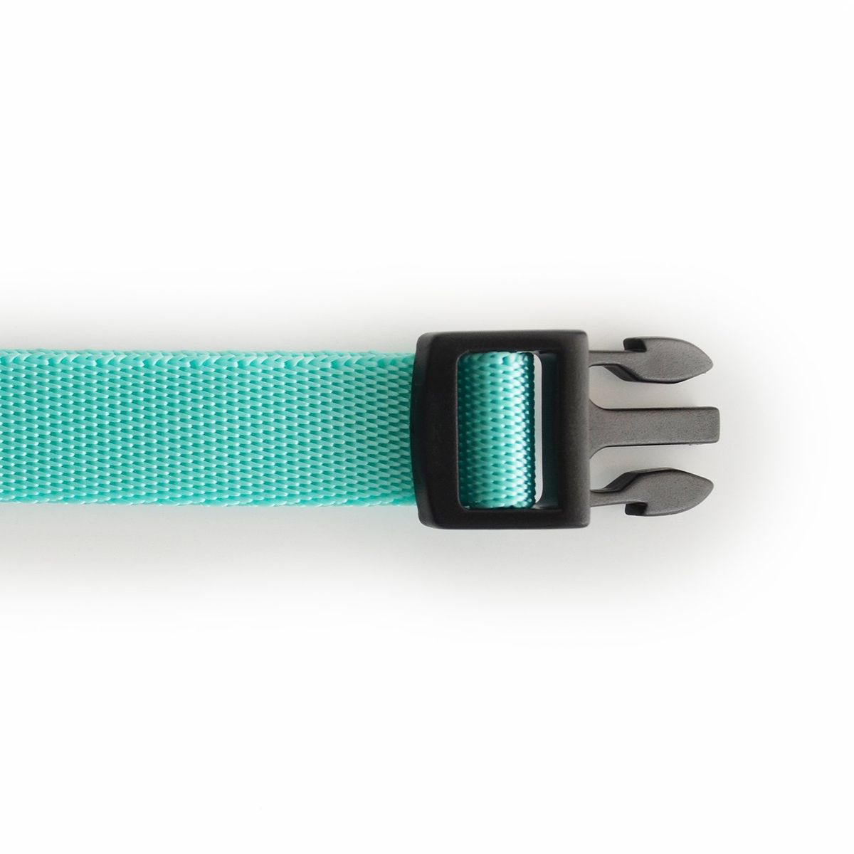 WAWAW - Collar para perro talla L unicolor menta  Wawaw