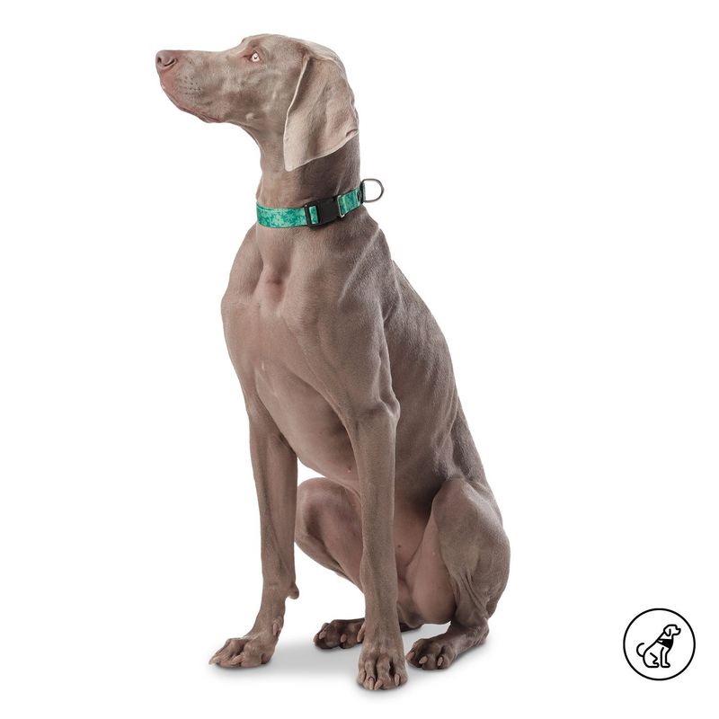 TOTTO - Collar ajustable Mylu para perro
