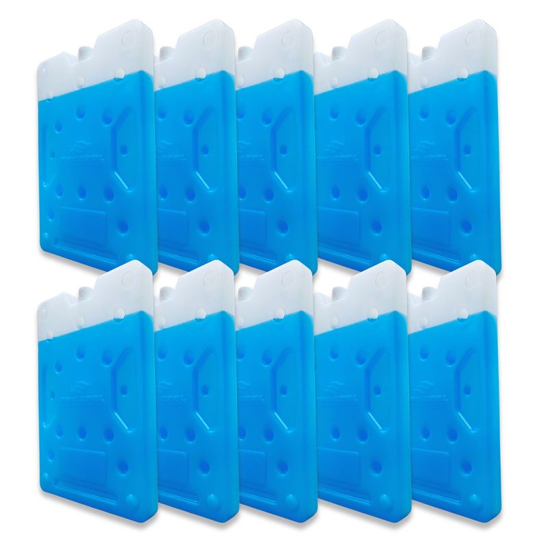 GENERICO - KIT X10 Placa Portátil Gel Refrigerante para Cadena de Frío
