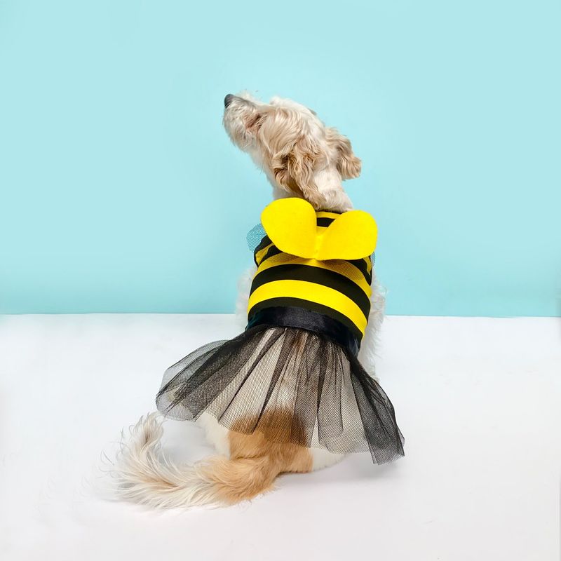WAWAW - Disfraz para perro  talla M abeja Halloween Wawaw