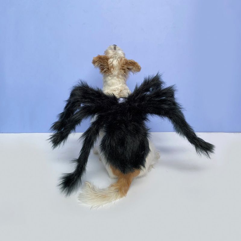 WAWAW - Disfraz para perro  talla L araña Halloween Wawaw