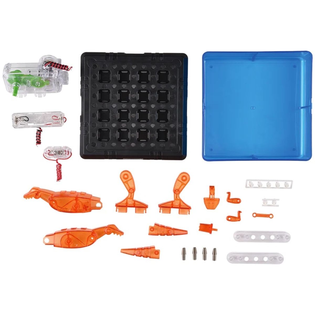 JUGANDO Y EDUCANDO - Experimento De Juguete Niños Sem Acción Dinosaurio