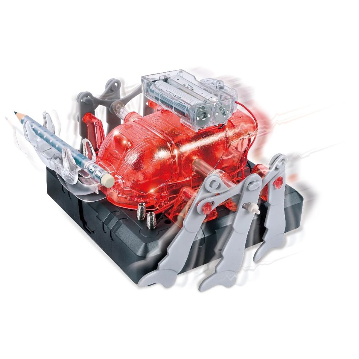 JUGANDO Y EDUCANDO - Experimento De Juguete Niños Stem Escarabajo Robótico