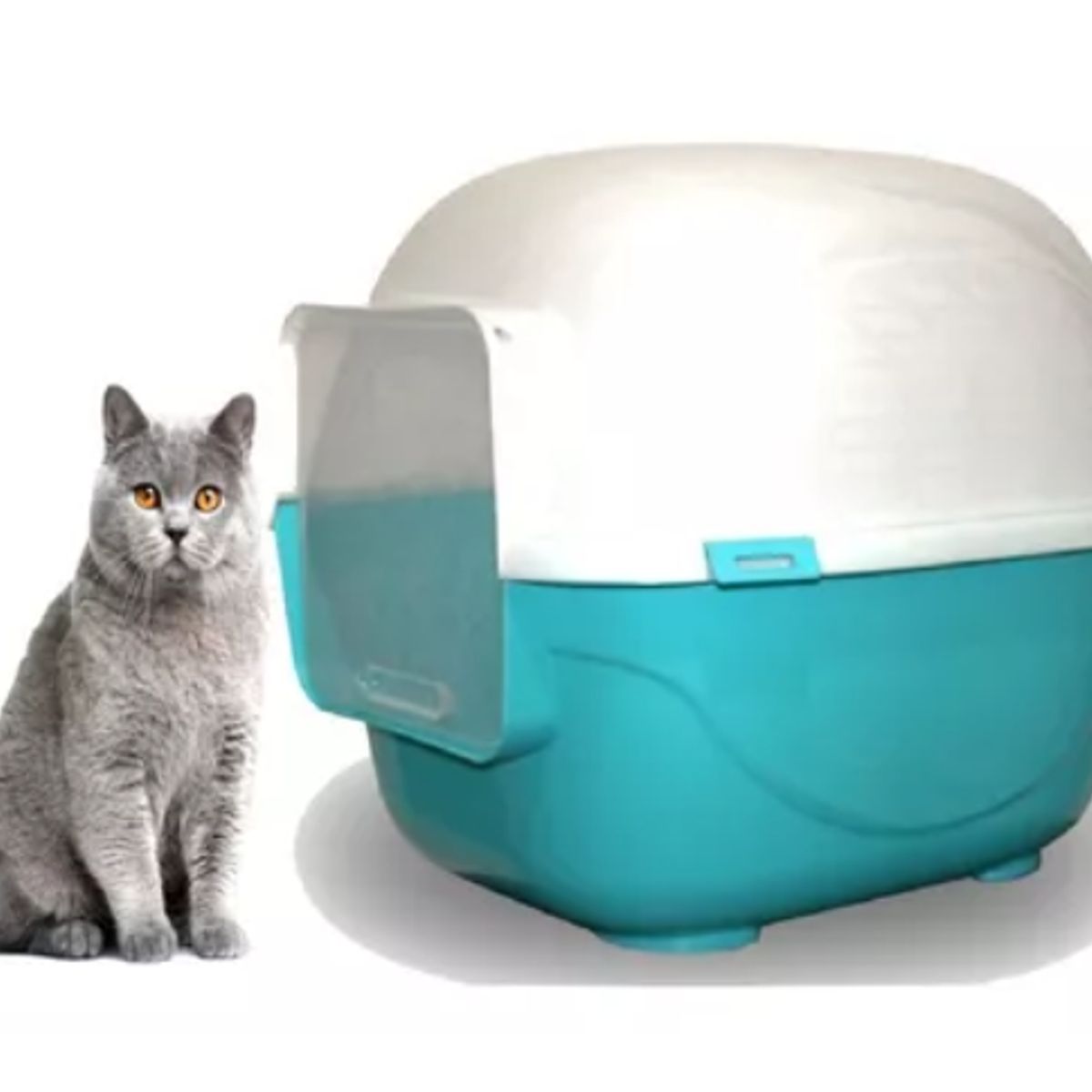 HALLY PET - Baño arenero grande para gatos sin filtro mas pala Celeste