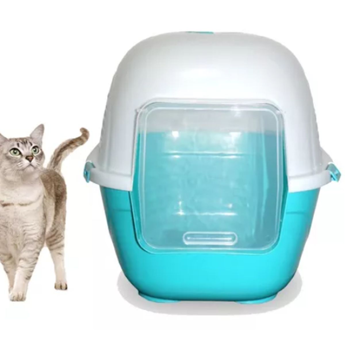 HALLY PET - Baño arenero grande para gatos sin filtro mas pala Celeste