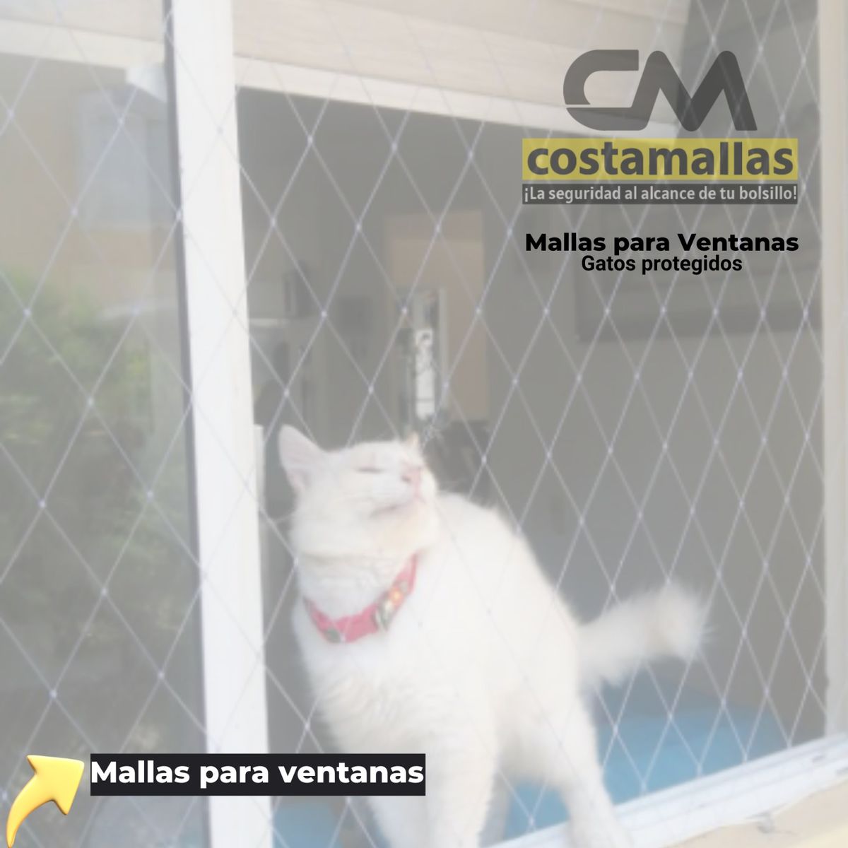 GENERICO - Kit Malla para Gatos - Proteccion ventana grande 2 x 4  mts.