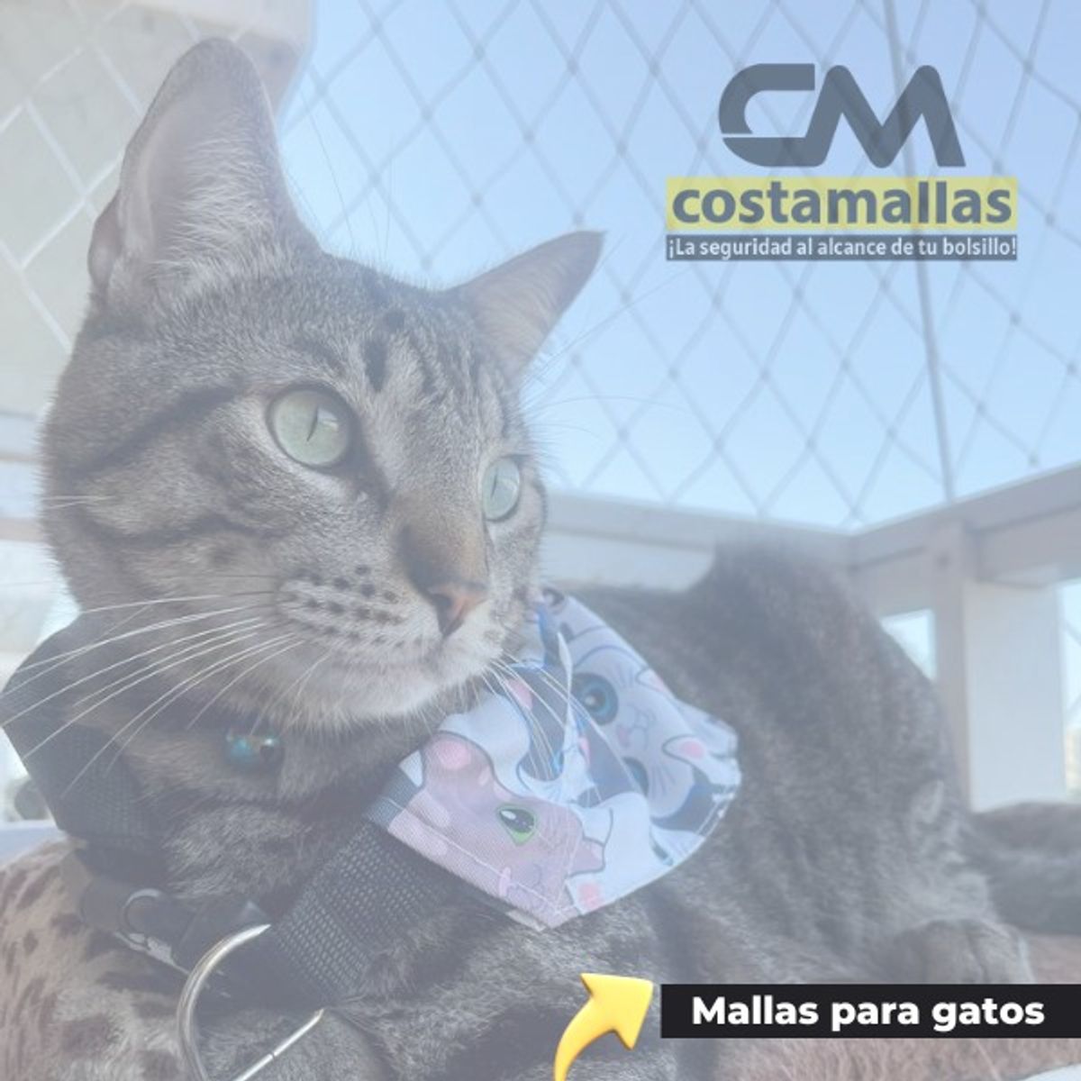 GENERICO - Kit Malla para Gatos - Protecion balcon grande 7 x 2.50 mts.