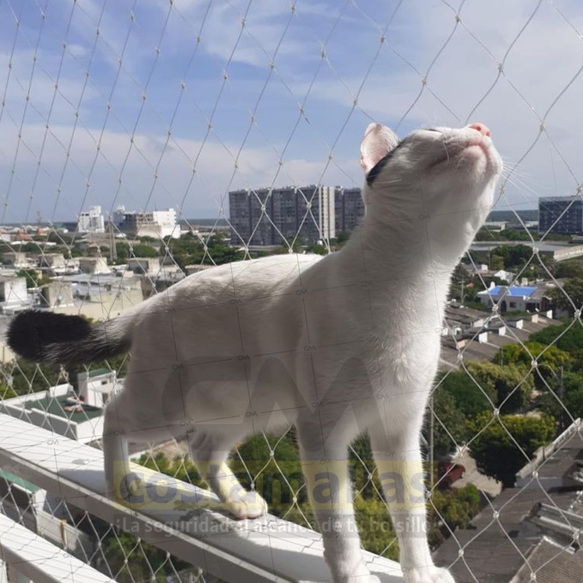 GENERICO - Malla para Gatos Kit - Protección balcon estandar 4 x 2.50 m
