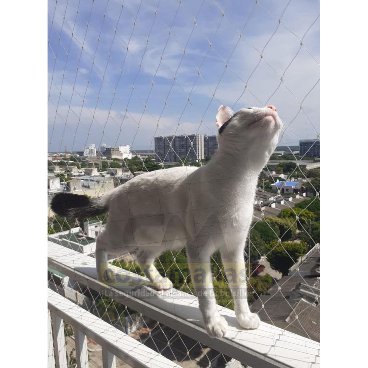 GENERICO - Malla para Gatos Kit - Protección balcon estandar 4 x 2.50 m