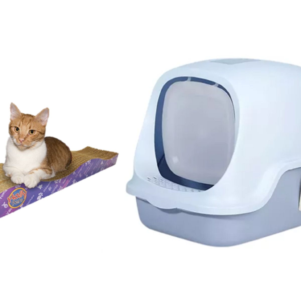 HALLY PET - Combo Baño arenero Celeste con filtro mas rascador ondas