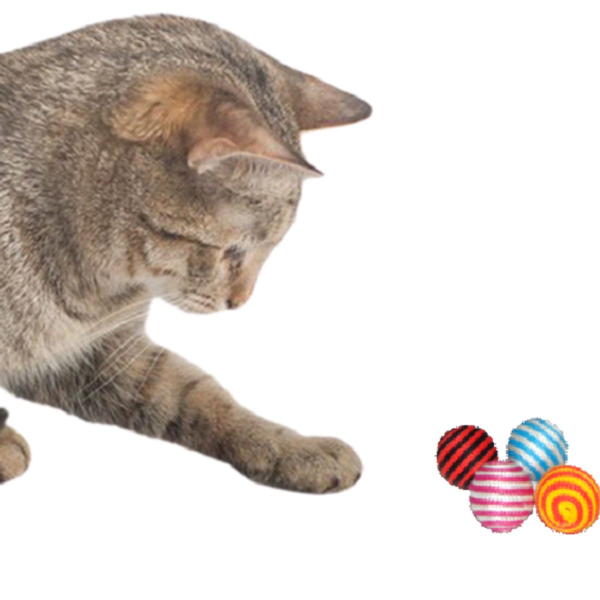 HALLY PET - Baño arenero grande sin filtro mas 6 juguetes para gato
