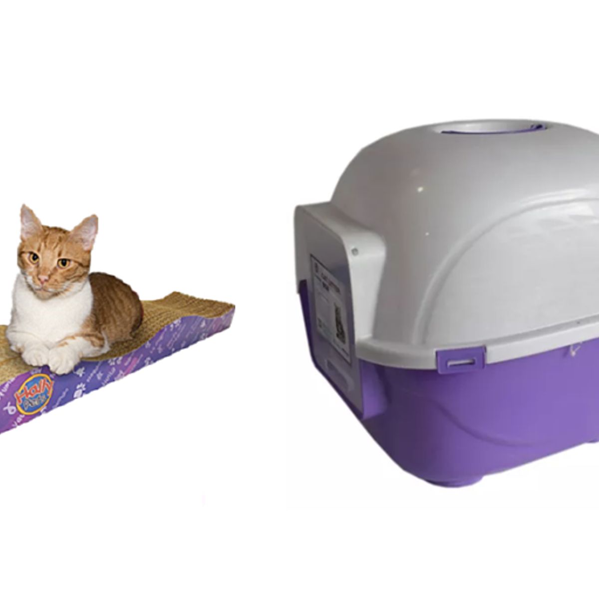 HALLY PET - Baño arenero grande sin filtro mas rascador ondas