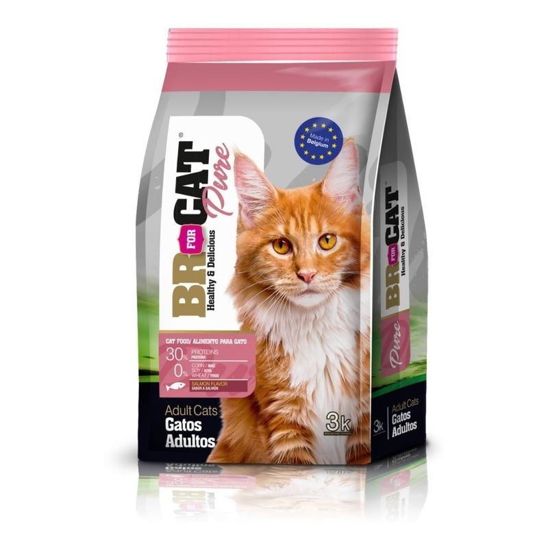 BR - ALIMENTO BR FOR CAT ADULTO SABOR A SALMON 3 KG