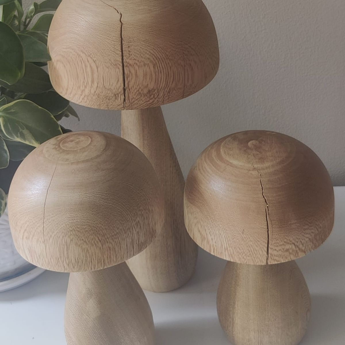 GENERICO - Hongos rústicos elaborados en madera roble macizo en 3 tamaños