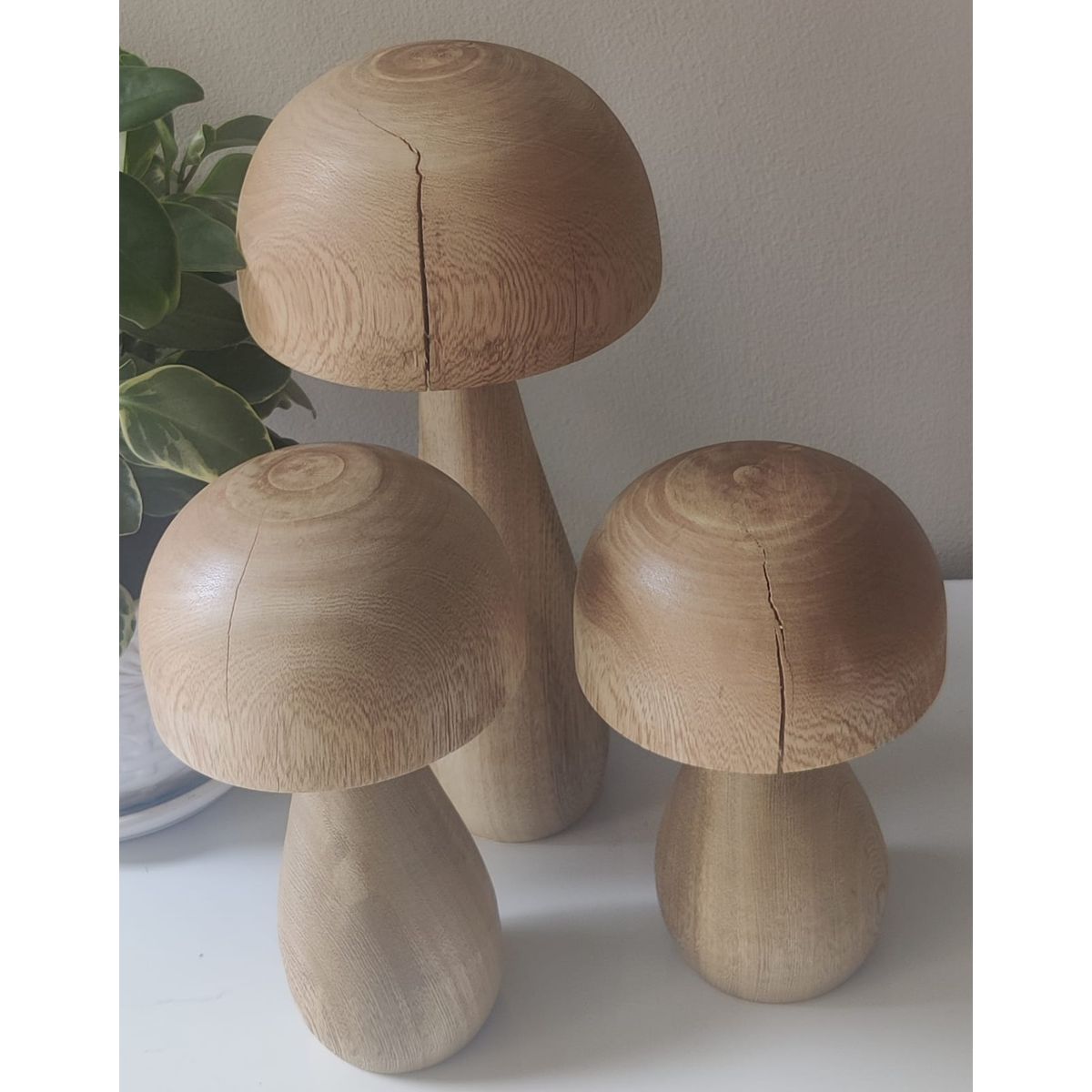 GENERICO - Hongos rústicos elaborados en madera roble macizo en 3 tamaños