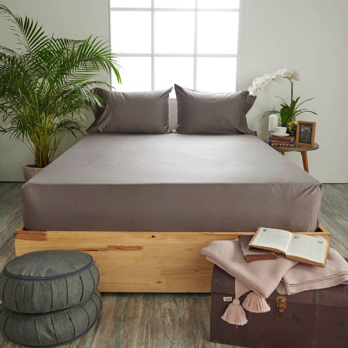 DISTRIHOGAR - Set Sábana Ajustable Más Fundas 300 hilos Algodón Semidoble