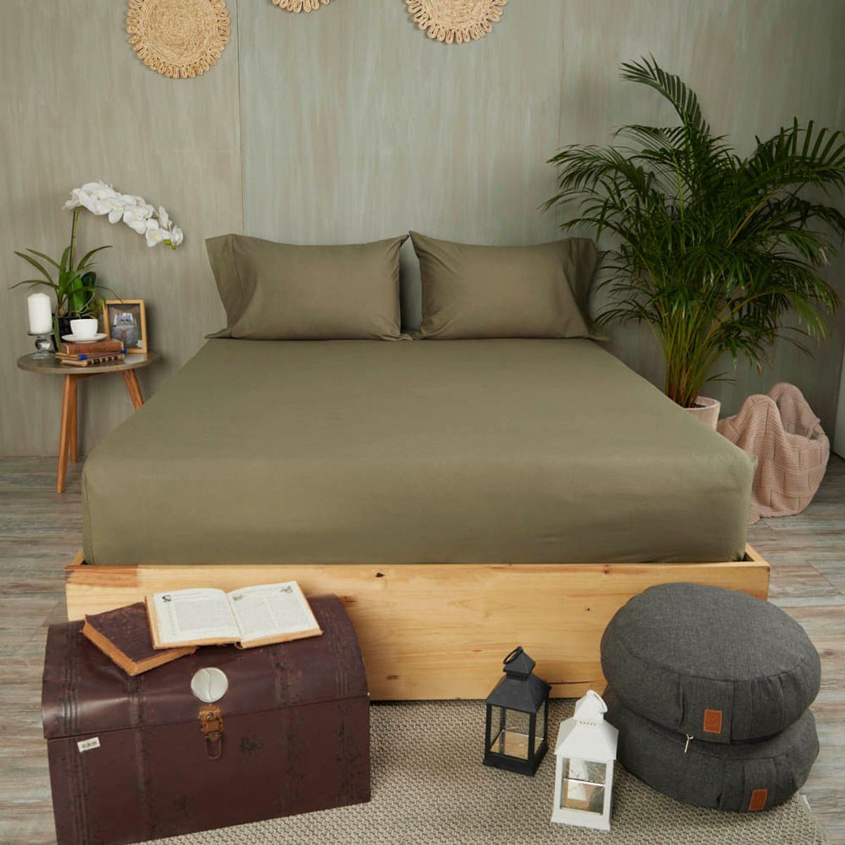 DISTRIHOGAR - Set Sábana Ajustable Más Fundas 200 hilos Algodón Queen