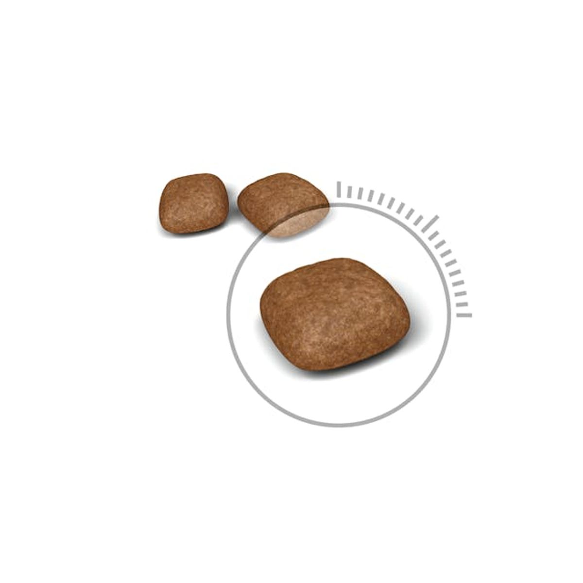 GENERICO - Alimento Royal Canin Gatos Urinary 2Kg