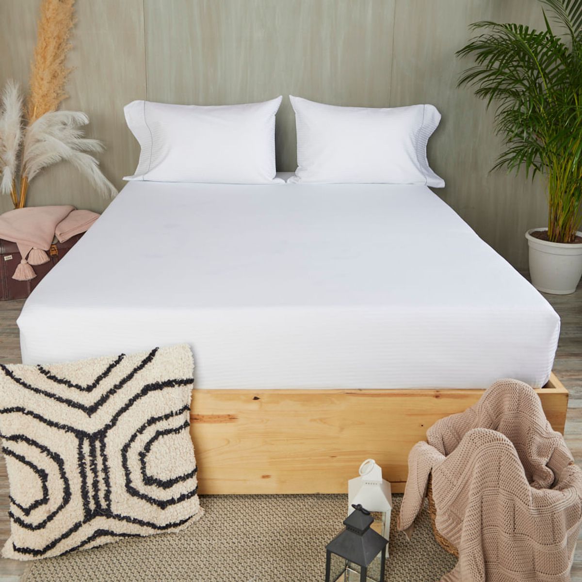 DISTRIHOGAR - Set Sábana Ajustable Más Fundas 300 Hilos Sencillo