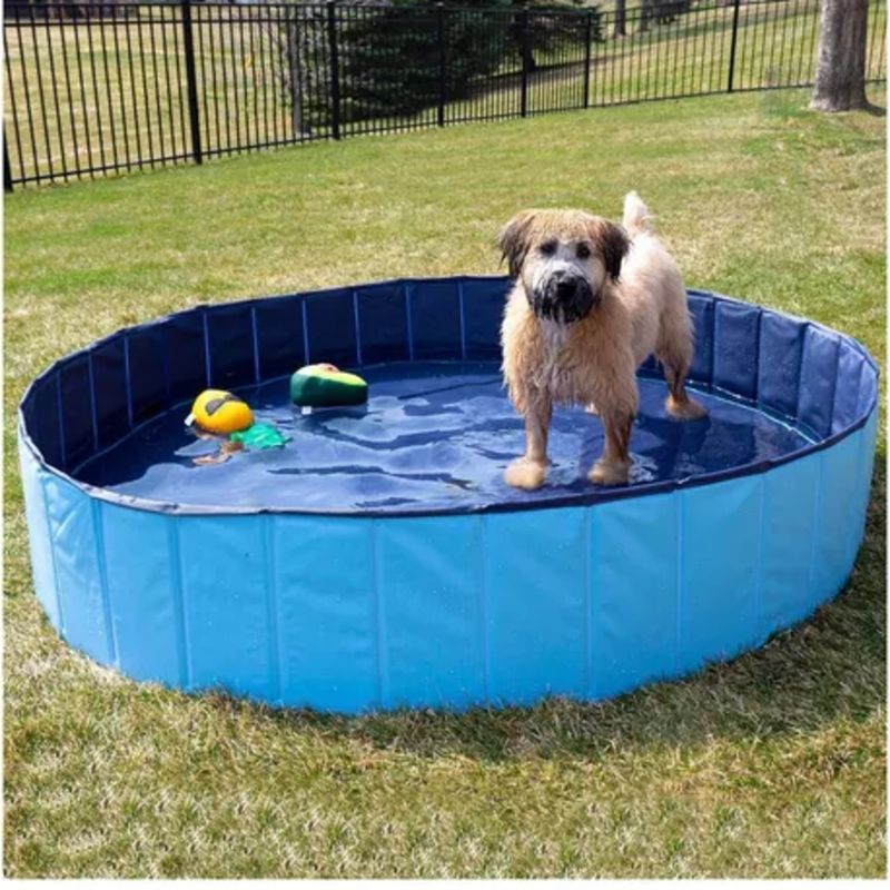 GENERICO - Piscina Portatil Para Mascotas Kit Companion Gear