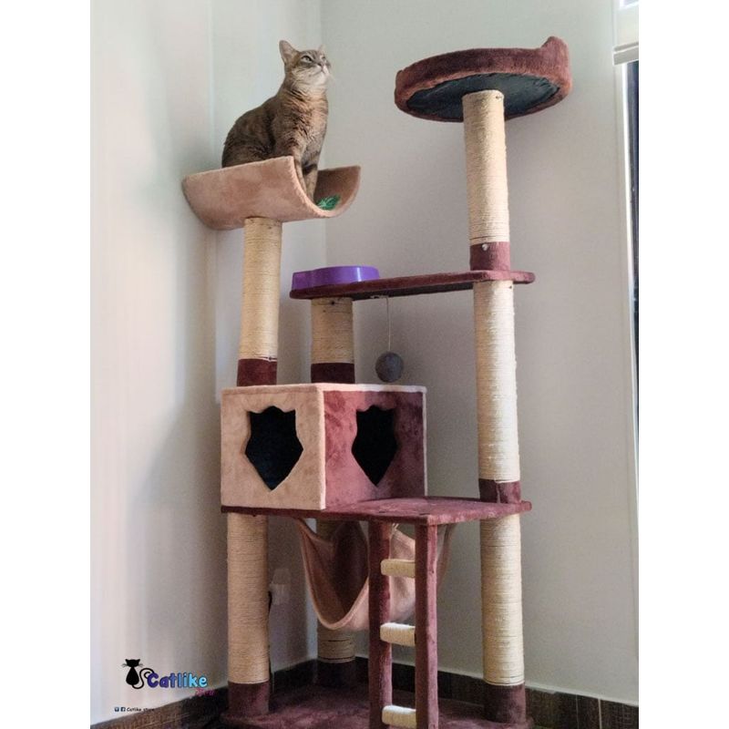 CATLIKE - Gimnasio  Rascador Para Gatos Ref Cuna Café Beige + Obsequio