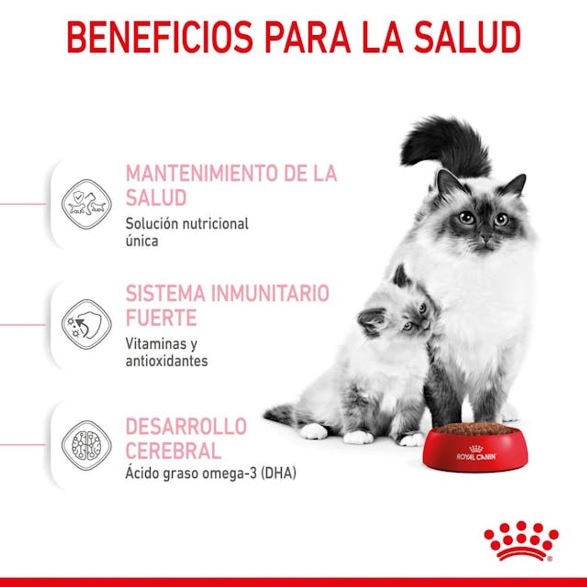 GENERICO - Alimento Mother Y Baby Royal Canin 400g