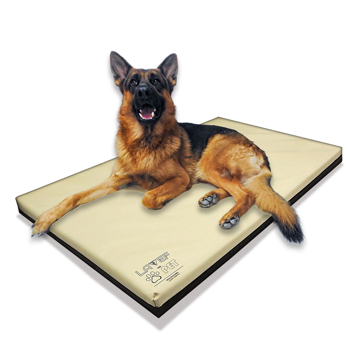 LAVEF - CAMA COLCHONETA DE MASCOTA + COBIJA PARA MASCOTA
