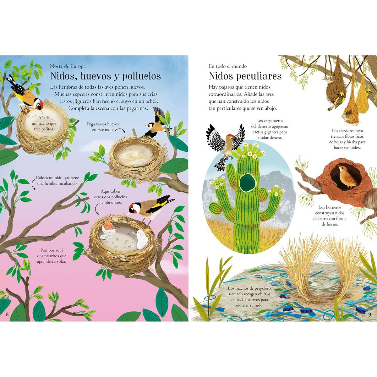 USBORNE - Aves Del Mundo. Mi Pequeño Libro De Pegatinas