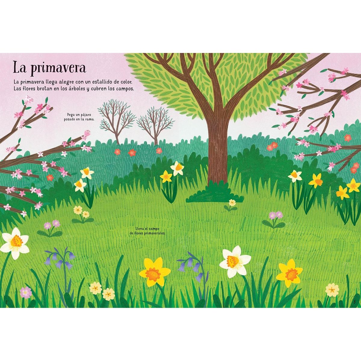 USBORNE - Flores. Mi Pequeño Libro De Pegatinas