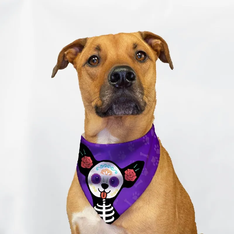 GENERICO - Pañoletas de Halloween para Mascotas Talla S - Catrina