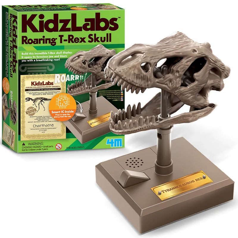 4M - CRÁNEO T-REX SONIDO Y MANDÍBULA MOVIBLE - JUGUETE 4M