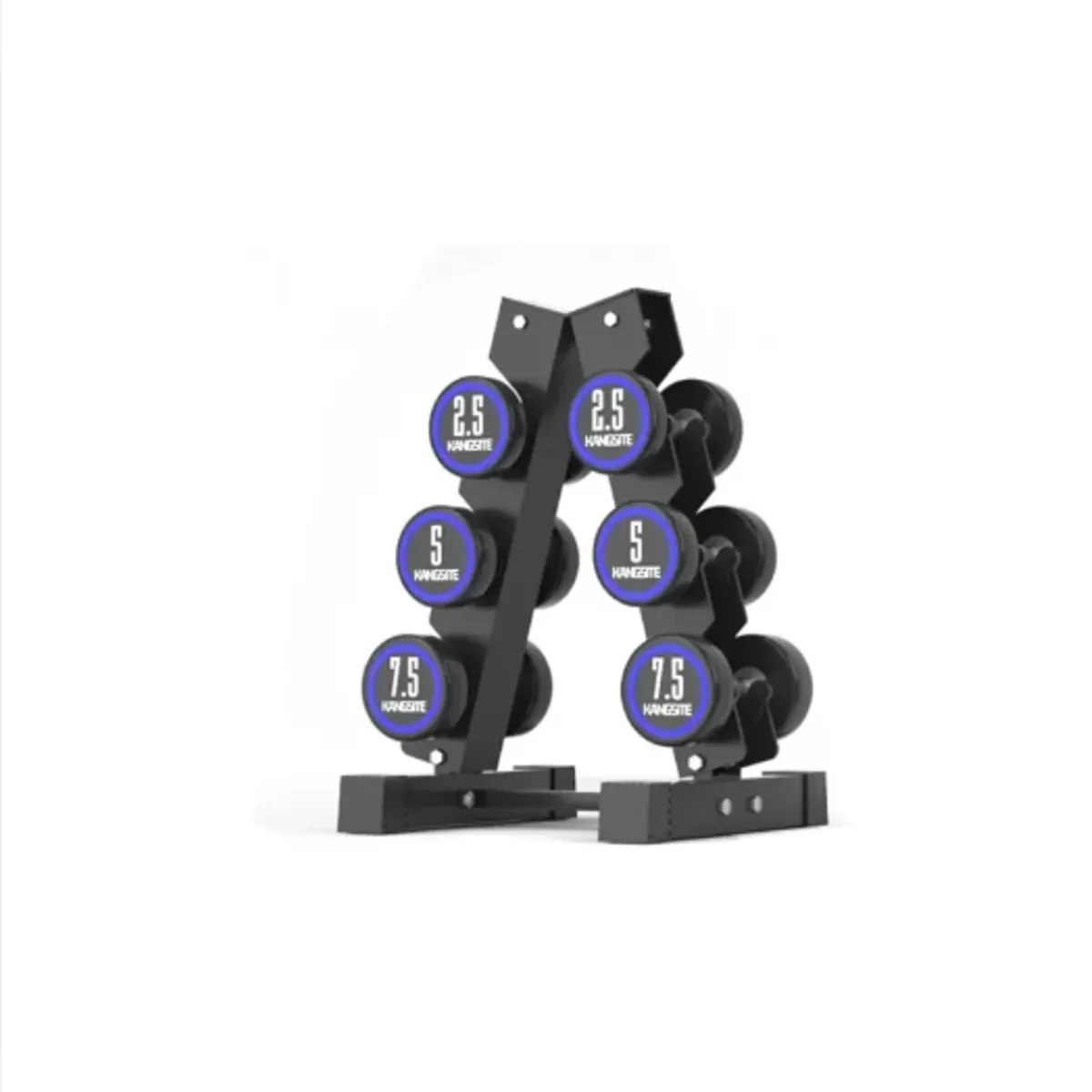 FOCUS - Rack Para Mancuernas 6 Pares SC-80261 Focus
