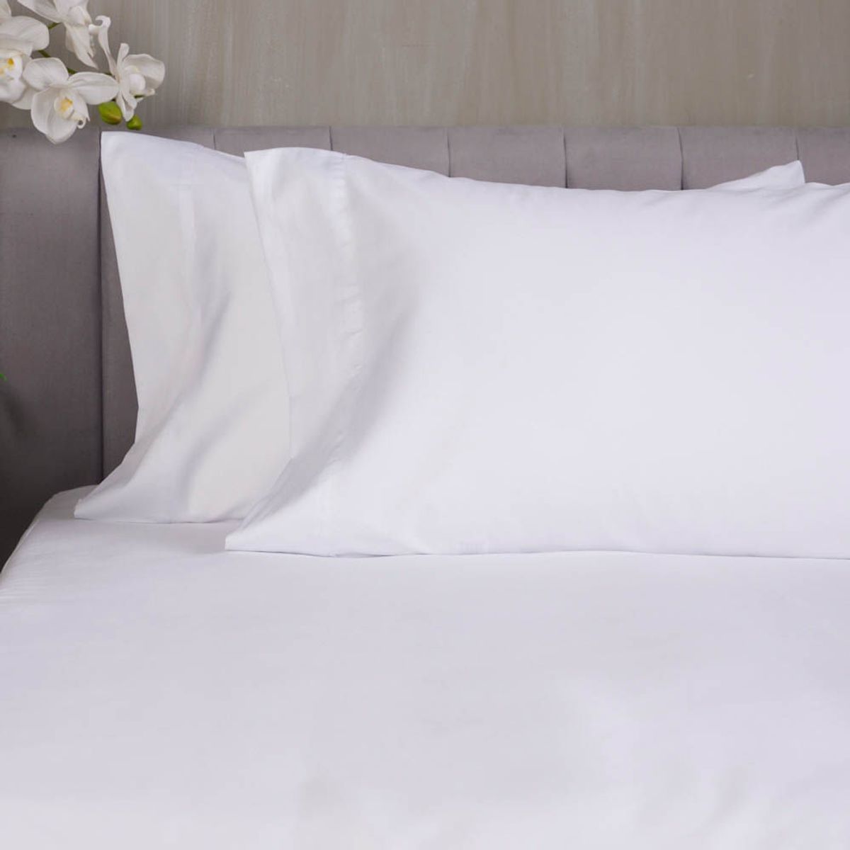 DISTRIHOGAR - Set X 2 Fundas Plus (+)Bambú Blanco 50 X 90 Cm