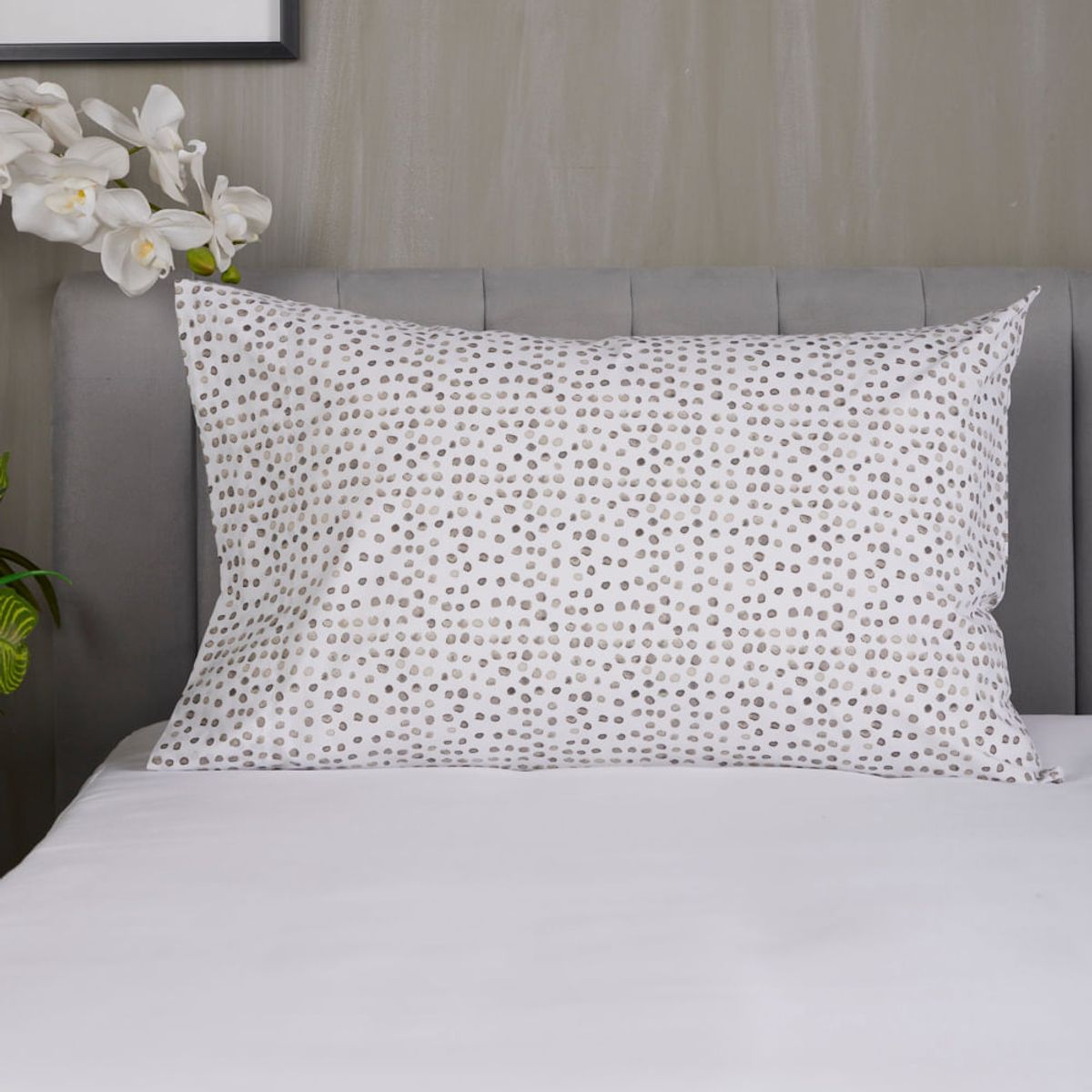 DISTRIHOGAR - Funda de Almohada Miniprint 180 hilos Sahara 50 x 73 cm